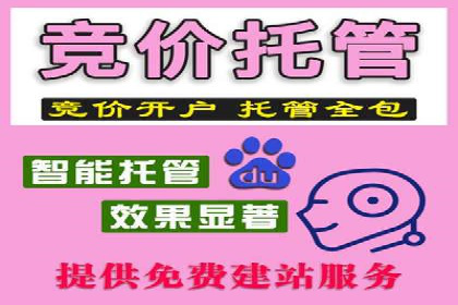 SEM推广代运营公司成功案例解析