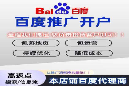 竞价排名在搜索引擎营销中的运用案例